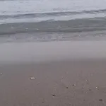 Perla Blu Albania Durrës