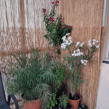 Perla Blu Albania Apartament